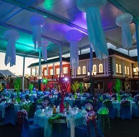 Sea World to host a magical Christmas party under the sea Sea World to host a magical Christmas party under the sea